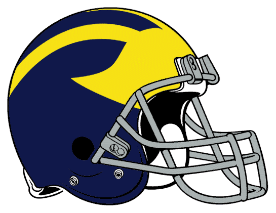 Delaware Blue Hens 1969-1976 Helmet Logo Print Decal